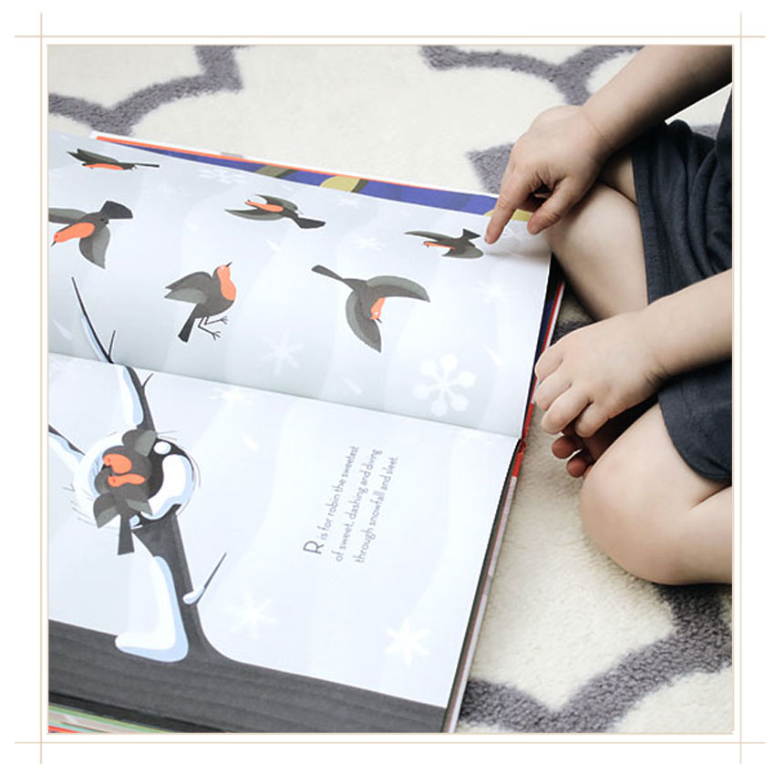 beautiful-birds-book